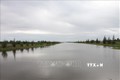 Ứng phó hạn, xâm nhập mặn mùa khô 2021-2022 ở Đồng bằng sông Cửu Long