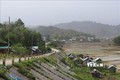 Điểm dân cư 57 hộ thuộc thôn Đăk Lanh, xã Măng Bút, huyện Kon Plông, tỉnh Kon Tum chính thức được đóng điện, hòa điện lưới Quốc gia. Ảnh: Dư Toán – TTXVN.