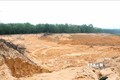 Quảng Trị: Chính quyền lơ là quản lý, các đối tượng ồ ạt đào đất rừng đem bán