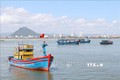 Phú Yên: Ngư dân vươn khơi hái lộc biển