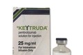 Triển vọng mới trong việc sử dụng thuốc chữa ung thư Keytruda để điều trị HIV