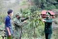 Bộ đội Biên phòng Sơn La giúp nhân dân phát triển kinh tế
