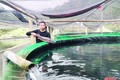 Anh Phạm Ngọc Thanh thu nhập tiền tỷ từ mô hình nuôi cá tầm