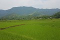 Phát huy nội lực, tạo đà xây nông thôn mới bền vững tỉnh Lào Cai