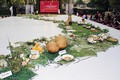 Chế biến, tạo mô hình bản đồ ẩm thực Việt Nam từ món ăn, đặc sản của 63 tỉnh, thành