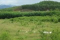 Nỗ lực phủ xanh đất trống, đồi trọc tại huyện miền núi Khánh Vĩnh