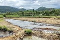 Bình Định: Bờ sông La Tinh sạt lở, người dân mất đất sản xuất
