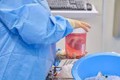 Thử nghiệm thành công cấy ghép tim lợn cho người chết não