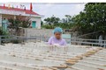 Mô hình phát triển nghề nông thôn phục vụ xóa đói giảm nghèo của HTX mỳ bún khô Tiến Diện, xã Tràng Xá (huyện Võ Nhai). Ảnh: Hoàng Nguyên - TTXVN