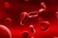 Xác định gene liên quan căn bệnh hiếm gặp về máu