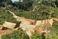 Phản hồi thông tin của TTXVN: Điều tra, làm rõ các vụ phá rừng tại huyện Sơn Hòa, Phú Yên