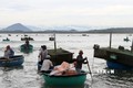 Ứng phó với bão số 4: Ngư dân Phú Yên khẩn trương di chuyển lồng nuôi thủy sản đến nơi an toàn