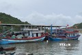 Ngư dân Bình Định hối hả vươn khơi khai thác hải sản sau bão số 4