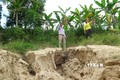 Bình Định: Người dân sống thấp thỏm với sạt lở bờ sông