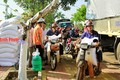 Phân bổ gạo cho học sinh ở xã đặc biệt khó khăn của Bình Phước