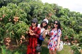 “Du lịch mùa quả ngọt” - điểm nhấn du lịch Bắc Giang dịp cuối năm
