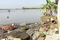 Vĩnh Long: Sạt lở làm 13 căn nhà rơi xuống sông