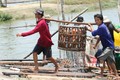 Đồng Tháp đưa sản phẩm cá tra vươn xa