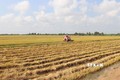 Hiệu quả trong chuyển đổi nông nghiệp bền vững ở Tiền Giang