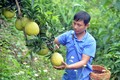 Hiệu quả Quỹ hỗ trợ nông dân tỉnh Sơn La