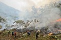 Lào Cai chủ động phòng ngừa, ứng phó nguy cơ cháy rừng