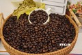Nâng tầm giá trị cà phê Việt (Bài 1)