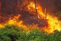Cháy thực bì bùng phát mạnh thành đám cháy lớn ở núi Voi, Lâm Đồng