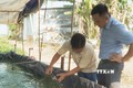 Mô hình khởi nghiệp nuôi cá đặc sản cho thu nhập cao của anh Nguyễn Hoàng Anh Quốc