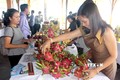 Bình Thuận: Tìm giải pháp sản xuất và tiêu thụ trái thanh long bền vững