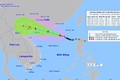 Ứng phó với bão số 1: Quảng Ninh hoàn thành đưa người từ các khu nuôi thủy sản lên bờ trước 16 giờ ngày 17/7