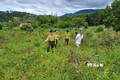 Kon Tum: Bảo vệ và tận dụng phát triển sinh kế từ rừng