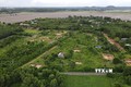 Vòng thành Đá Trắng: Lộ diện di tích thành cổ hiếm hoi còn tồn tại ở Nam Bộ