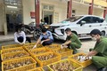 Lạng Sơn: Ngăn chặn nhập lậu gia cầm từ biên giới