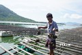 Tôm hùm, hàu chết bất thường tại Khánh Hòa 