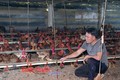 Bình Phước xây dựng 11 vùng chăn nuôi an toàn dịch bệnh