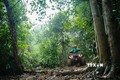 Quảng Bình: Hỗ trợ người dân bảo vệ và phát triển rừng