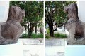 Bình Định đề nghị công nhận hai tượng sư tử đá thành Đồ Bàn là bảo vật quốc gia​