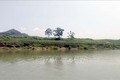 Một góc sông Mã tại xã Vĩnh Yên, huyện Vĩnh Lộc, tỉnh Thanh Hóa. Ảnh: TTXVN