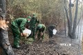 Cảnh báo nguy cơ cháy rừng ở cấp cao tại Kiên Giang