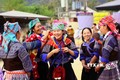 Ngày hội hoa sơn tra 2024: Cơ hội kết nối, phát triển du lịch Mường La