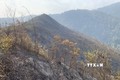 Cháy rừng ở huyện Mù Cang Chải đã được kiểm soát