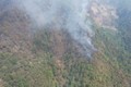 Hơn 600 người đang nỗ lực chữa cháy rừng ở huyện Tủa Chùa, Điện Biên