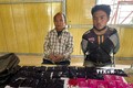Điện Biên: Bắt hai đối tượng vận chuyển 8.000 viên ma túy tổng hợp​