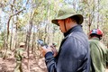 Hiệu quả sử dụng flycam trong quản lý, bảo vệ rừng ở Lâm Đồng