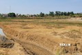 Gia Lai: Hạn hán cục bộ, nguy cơ thiếu nước tưới ở nhiều địa phương