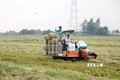 Tiềm năng phát triển kinh tế tuần hoàn từ phụ phẩm lúa, gạo