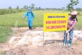 Quảng Ninh ngăn chặn sự lây lan của dịch tả lợn châu Phi