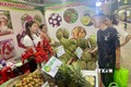 Du khách thích thú thưởng thức chôm chôm miễn phí tại Lễ hội trái cây Long Khánh