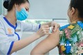 Bộ Y tế khuyến cáo về tiêm chủng vaccine phòng bệnh bạch hầu
