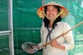 Chị Nguyễn Thị Lan khởi nghiệp thành công với mô hình nuôi cà cuống